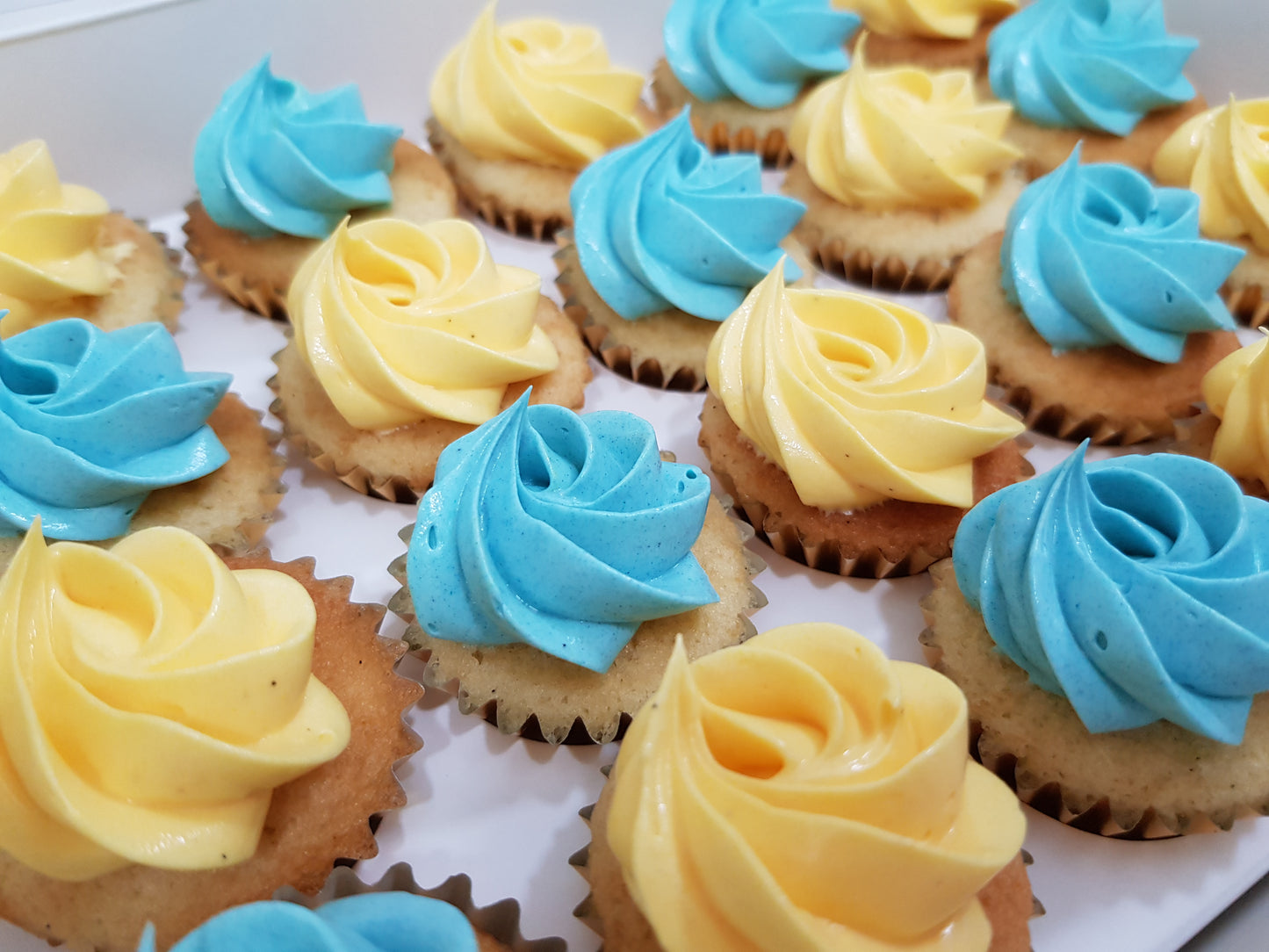 Assorted Colour Frosting Mini Cupcakes (Box of 20) - Cuppacakes - Singapore's Very Own Cupcakes Shop