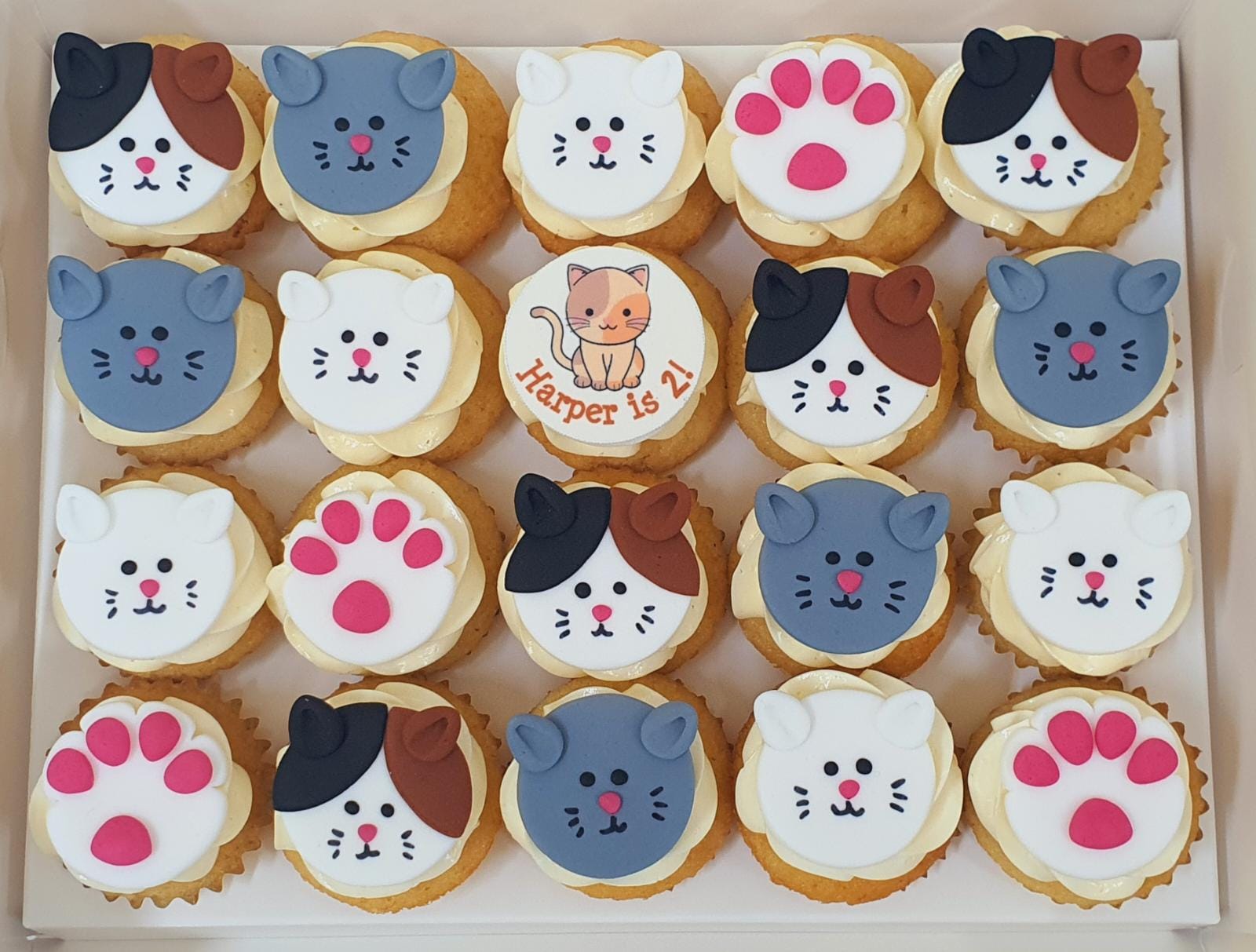 Cute Cat Mini Cupcakes Box of 20 Birthday cake Singapore Cuppacakes Singapore